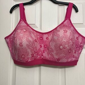 Cacique Vibrant Pink Floral Lace Bra